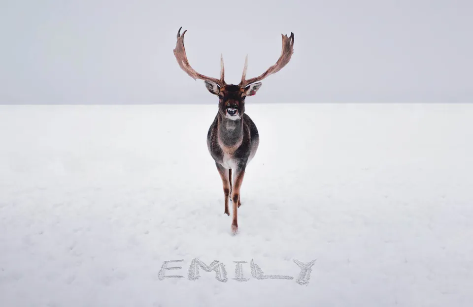 Gallery scene: 000 Deer Emily